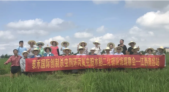 水稻二化螟為害肆意猖獗 環(huán)丙氟蟲胺出手技驚四座 ——創(chuàng)新殺蟲劑環(huán)丙氟蟲胺水稻二化螟藥效田試年內首秀